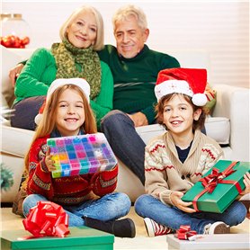 Mozart Momentum-1786