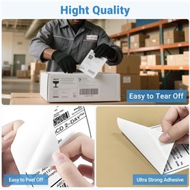 Timberland Men's Allston Sneaker