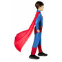 Déguisement pour Enfants Superman Superman 5-6 Ans