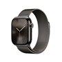 Montre Homme Apple MX053QL/A Gris