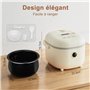 Multifonctionnel 350W Electric Mini Rice Cooker，6 fonctions de cui