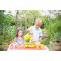 scp mini serre 39,99 €