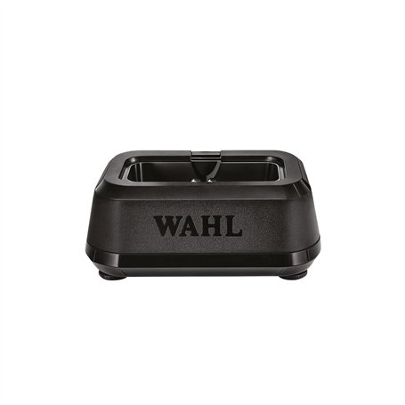 DONGQI Peinture Corporelle pour Le Visage