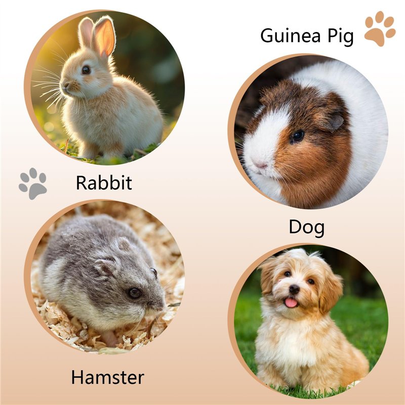 Kit Blanchiment dentaire 10x 3cc gel sans peroxide