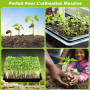 JMIATRY 12 Pcs Plateau Semis, 26.9×26.9×3.6 CM Bac a Semis Potager, Plateau Semis Bac, Plateaux de Germination, Plateau Bac à Se