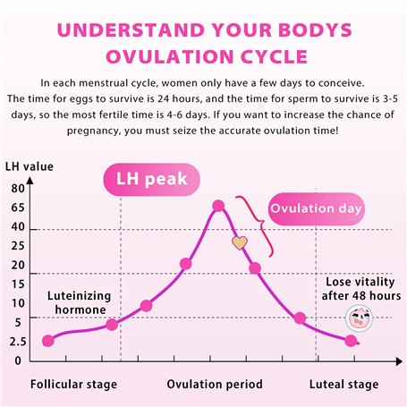 My Rollers Lot de 4 Rouleaux Ponceurs Micro-Minéraux Extra Rugueux de Remplacement pour Emjoi Micro Pedi - Pack de 4 Rouleaux de