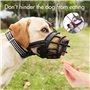 gudong Museau de Chien-Museau de Panier Souple pour Chiens Ajustement sûr et Confortable, Mieux prévenir Les morsures, mâcher et