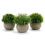 GoMaihe Plante Artificielle Interieur 3 pcs