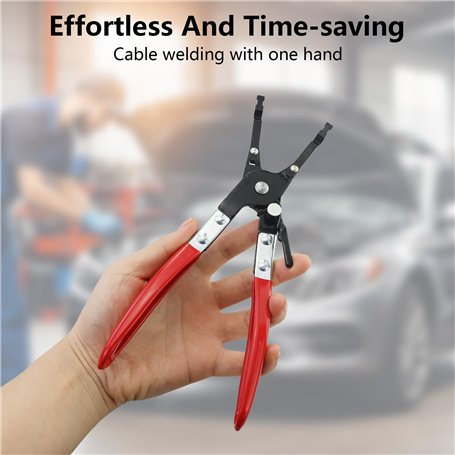 Papillon gymform quick fitness