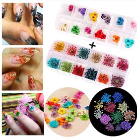 Accessoires pour nail art 12 couleurs tridimensionnelles fleurs séchées 60 étoiles plus 60 cinq fleurs