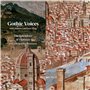 The Splendour of Florence with a Burgundian Resonance