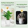 VGECEE Lot de 4 Pots de Fleurs en Plastique, Pots avec Système d'Arrosage Automatique, Pot de Fleurs Transparent avec Niveau d'e