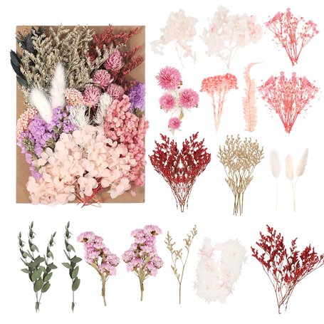 Fleurs séchées Naturelles et pétales séchés – Fleurs séchées colorées pour Loisirs créatifs