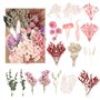 Fleurs séchées Naturelles et pétales séchés – Fleurs séchées colorées pour Loisirs créatifs