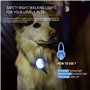 iPobie 5 Pièces Pendentif Lumineux Chien, Collier de Sécurité pour Chien en Silicone LED Pendentif Lumineux Clignotant pour Cour