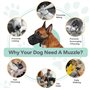 ZYEKIU Muselière pour Chien Empêche de Mâcher/Manger/Mordre - Couvre Muselière Respirante, Muselières pour Chiens Réfléchissante