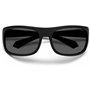 Lunettes de soleil Homme Polaroid PLD 2125_S