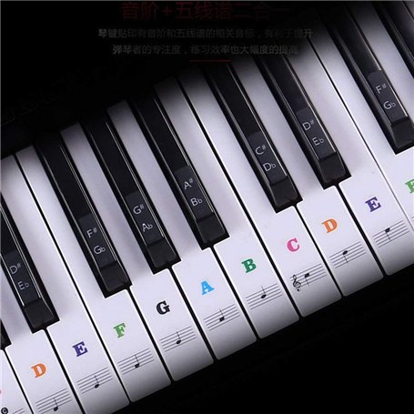 Alnicov Autocollants pour clavier de piano 88/61/54/49/37 touches