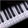 Alnicov Autocollants pour clavier de piano 88/61/54/49/37 touches