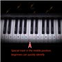 Alnicov Autocollants pour clavier de piano 88/61/54/49/37 touches, ne laisse aucun résidu, autocollants amovibles pour touches d