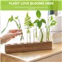 Vase en Verre De Tube À Essai Station De Propagation Vase en Verre Hydroponique avec Support en Bois pour Plantes Hydroponiques,