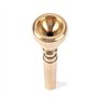 Embouchure de trompette Alnicov Embouchure d'instruments 7C en laiton doré compatible avec les débutants et les joueurs professi