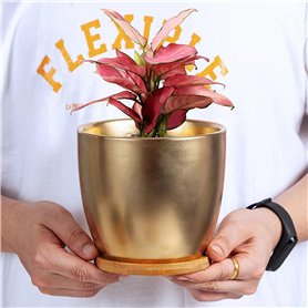 Faankiton 50 pièces Mini Interrupteur à Bouton-poussoir Momentané et 125V 6A 250V 2A 120V 5A 3 Broches 2 Positions Mini Interrup