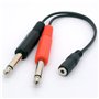 3.5mm (Mini) 1/8" TRS Stereo Female à 2 Dual 1/4" 6.35mm Mono TS Male Y Splitter Cable Adaptateur audio Convertisseur stéréo Amp