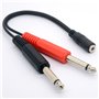 3.5mm (Mini) 1/8" TRS Stereo Female à 2 Dual 1/4" 6.35mm Mono TS Male Y Splitter Cable Adaptateur audio Convertisseur stéréo Amp