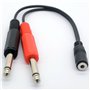 3.5mm (Mini) 1/8" TRS Stereo Female à 2 Dual 1/4" 6.35mm Mono TS Male Y Splitter Cable Adaptateur audio Convertisseur stéréo Amp