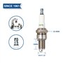 pour Bosch W6D