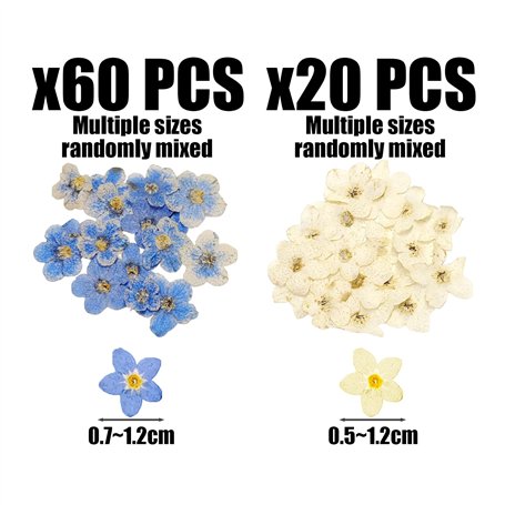 Frankberg Kit de bras de suspension Avant Compatibles avec Q3 8UB 8UG F3B Alhambra 710 711 CC 358 P.a.s.s.a.t 3C2 3C5 362 365 35