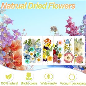 Lot de 3 plaques de toilettes en acier inoxydable