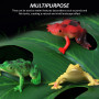 ZBHDEYG Lot de 24 jouets grenouille - 6 feuilles de lotus de simulation - Mini grenouille - Jouet de bain pour animaux - Jouet f