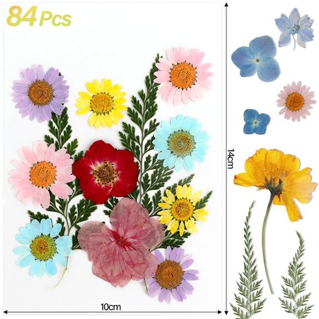 ZBHDEYG 2 pinces à salade