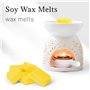 SCENTORINI Fondants Parfumés Cire Parfumée pour Bruleur Tartelette à la Cire de Soja Naturelle pour Brûle Parfum