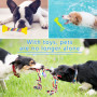 MULEVIP Jouet pour Chien,Ensemble de 20 Pièces Jouets pour Chien,Jouet Chien Corde,Durables Mâcher Corde Jouet Chiens Cadeau-Cot