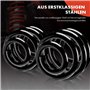 Frankberg 2x Ressorts de suspension Essieu Avant Compatibles avec T.i.g.u.a.n 2007-2018 Caddy III 2010-2015 Caddy IV 2015-2020 R