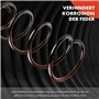 Frankberg 2x Ressorts de suspension Essieu Arrière Compatibles avec Cabrio 2000-2004 City-Coupé 1999-2004 Fortwo Cabrio 2004-200