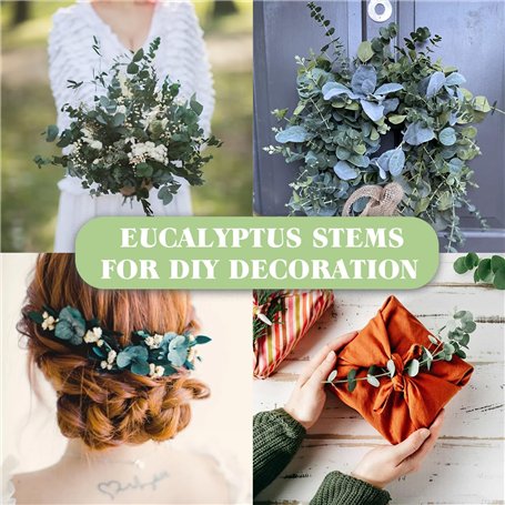 Intégrale des Lieder