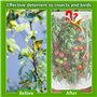 CUVZORA Filets Protection Plantes Anti-Oiseaux et Insectes, avec Fermeture Éclair + Cordon Serrage - pour Arbres Fruitiers, Légu