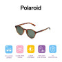 Polaroid PLD 1013/S H8 V08 50 Sunglasses, V08/H8 Havana, Mens
