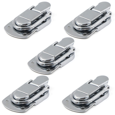 Fermeture à Levier Fermoir à Bascule Loquets Verrou 5 pcs Loquet à Bascule en Acier Inoxydable pour Coffret