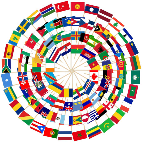 Kisvic 100 pays - Cure-dents internationaux - Drapeaux de cocktail - Drapeau Euro décoratif - Petit mini cure-dents - Double fac