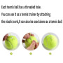 Balle de Tennis Tennis Corde