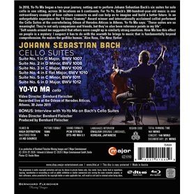 PEALOV VéLo SièGe Enfant ArrièRe avec Main Courante, SièGe pour Enfants Monté à L'ArrièRe De VéLo Stable Et SûR pour Les Enfants