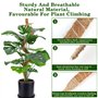 VFANDV Tuteur Plante, 120CM Support Plante Grimpante Tuteur Coco avec Twist 2 Meter pour Soutenir Les Plantes, pour Plante Jardi