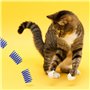LAMXD Lot de 20 jouets à ressort colorés pour chat - Sans BPA - En plastique - Ressorts hélicoïdaux - Jouets interactifs pour ch
