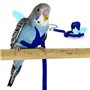 Budgerigar Harnais et Laisse pour Perroquet