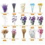 KAOHONG Bouquet de Fleurs Séchées Naturelles Violettes Vraies Naturel Fleurs Décoration pour Mariage, décoration Maison fête, Va